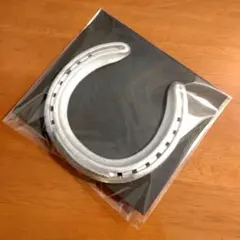 【本物の蹄鉄】馬蹄