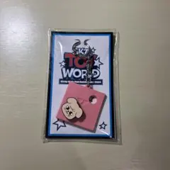 TOY WORLD スキズ FCくじ D賞 キーリング パピーム スンミン