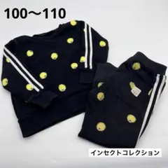 インセクトコレクション ホタル トレーナー ジャージ 100 110 パンツ