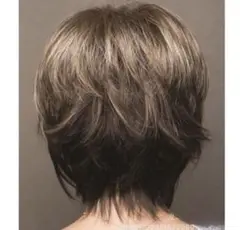 ショートヘアー フルウィッグ かつら　医療用　中年　ショートヘアー