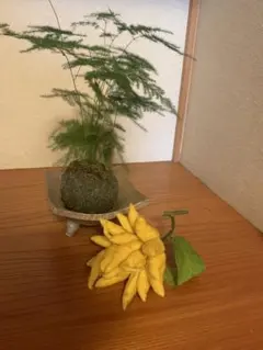 Item thumbnail for item 9db696b6-607b-47b2-a68b-b3e9a66ce1bd