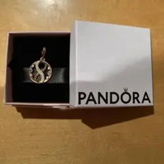 Pandora ME インフィニティシンボル メダリオンチャームのサムネイル