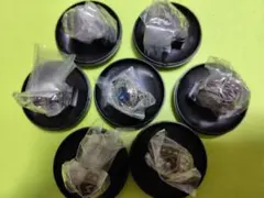 家庭教師ヒットマンREBORN!　 Ringcolle! DX 全7種