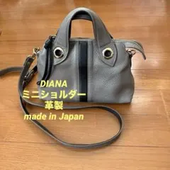 【DIANA】美品★革★日本製★ミニショルダーバッグ