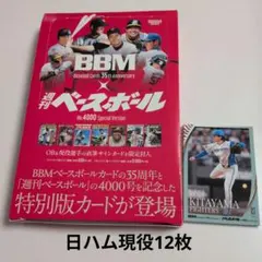 Item thumbnail for item 864ab914-d3ef-4387-89d3-00efd13bee7e