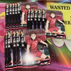 ハイキュー バボカ 犬岡走 15枚