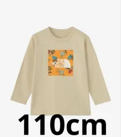 新品 THE NORTH FACE ロングスリーブグラフィックスクエアロゴティー