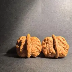 Item thumbnail for item 3a9a8065-d96b-440a-9614-763239691207