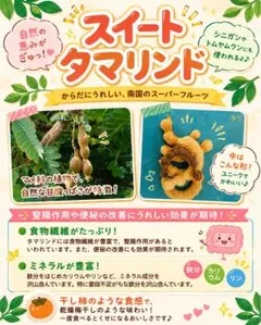 スイートタマリンド トムヤムクン　シニガン　熱帯果樹のサムネイル