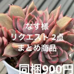 なす様 リクエスト 2点 まとめ商品