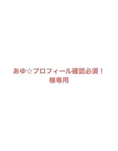 あゆ☆プロフィール確認必須！様専用