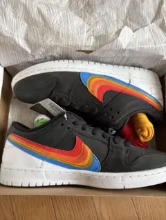 Polaroid × Nike SB Dunk Low Pro QS