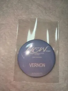 SEVENTEEN VERNON ピンバッジ 文化祭輪投げ