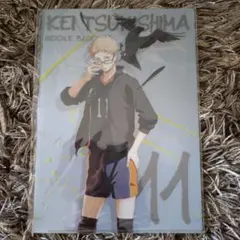 ハイキュー　月島蛍　クリアファイル