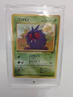 旧裏 コンパン ケース付きのサムネイル