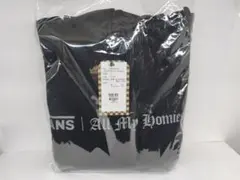 Item thumbnail for item a9ccaea9-19b6-4e8a-9435-202feea0256a