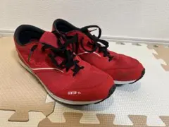 Item thumbnail for item 02b1bf25-66a7-40d1-984f-5cda0040618d