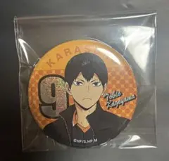 東京リベンジャーズ カラオケまねきねこ 缶バッジ 羽宮一虎 - メルカリ