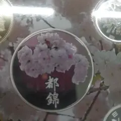 桜の通り抜け 2012 プルーフ貨幣セット 記念メダル のみ造幣局 桜の通り抜け 2012 プルーフ貨幣セット 記念メダル のみ造幣局 - メルカリ