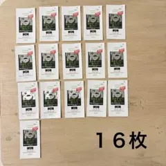 ソフティモ 角栓すっきり黒パック 鼻用 1枚入×16個セットのサムネイル
