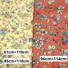 Item thumbnail for item ebfdf07f-0110-4bad-8773-db5a0c269a0a