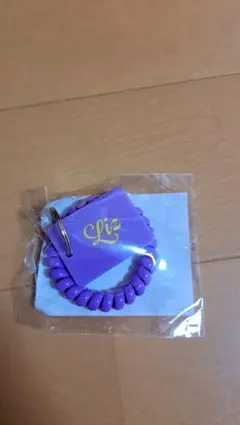 IVE DIVE JAPAN ネームタグロッカーキーホルダー リズ