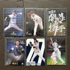 東京ヤクルトスワローズ カルビープロ野球チップスセット スターカード 村上 山田
