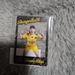 こまちゃん様 リクエスト 2点 まとめ商品