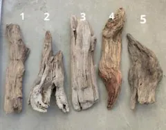 Item thumbnail for item e8748543-6488-4807-8d35-5c21a5b04c34