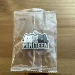 MINITEEN SEVENTEEN JUN