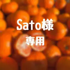 Sato様専用⭐︎2Sサイズ２キロ