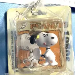 パッケージミニチュアコレクション　スヌーピー ピーナッツ　1980s