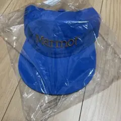 Item thumbnail for item de744e88-19ca-4797-8c53-220ec26e5db2