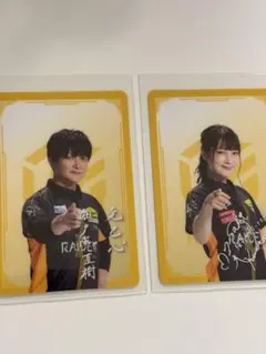 イギー様 リクエスト 2点 まとめ商品