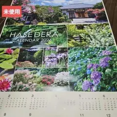 舞妓はん 2026カレンダー 激レア 舞妓はん 2026カレンダー - メルカリ