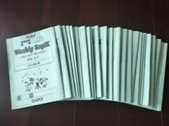 2026年最新】sapix 6年 理科の人気アイテム - メルカリ