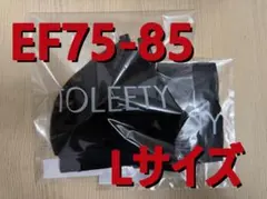 Item thumbnail for item 85e04550-7a8f-488f-8e38-a7a8eb2d1f88