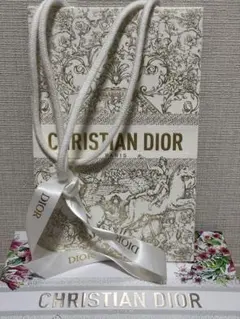 CHRISTIAN DIOR ディオール ショップ袋 ショッパー 紙袋 ホリデー