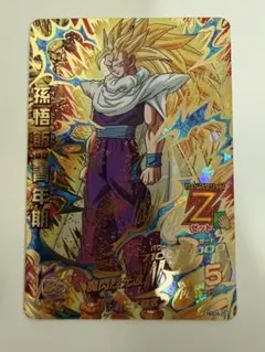 y*a様 美品！！　HGD4-25 孫悟飯：青年期