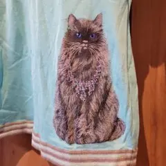 猫イラスト 半袖Tシャツ 水色のサムネイル
