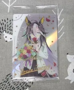 ドリームジャーニー　（ドレス）内袋未開封品1枚