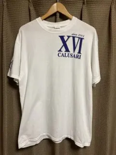 Item thumbnail for item 0b50aaee-a82e-4ca8-8614-6b5b5c9339bf