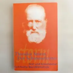 テオドール・シュトルム『白馬の騎士』ドイツ語洋書
