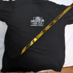 FUNKY MONKEY BΛBY'S いきものがかり Tシャツ 銀テープ付 FUNKY MONKEY BΛBY'S いきものがかり Tシャツ 銀テープ付 - メルカリ
