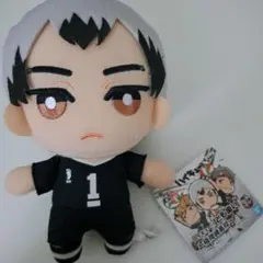 ハイキュー!!　北信介　ともぬい