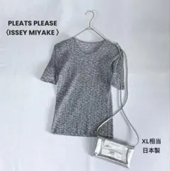 極美品 プリーツプリーズ〈イッセイミヤケ〉 杢グレーの総柄カットソー 4 日本製のサムネイル