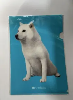 【匿名配送】SoftBank お父さん　犬　A4クリアファイル