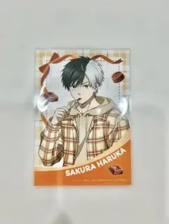 windbreaker ウィンブレ 桜遥 バレンタインフェア 特典ブロマイド