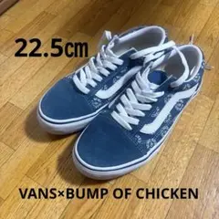 レアVANS×BUMP OF CHICKEN OLD SKOOL/22.5㎝