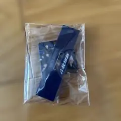 Item thumbnail for item 6707ec45-ae59-4ee0-a550-149bbe377d48